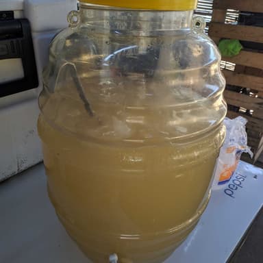 Agua Fresca Litro