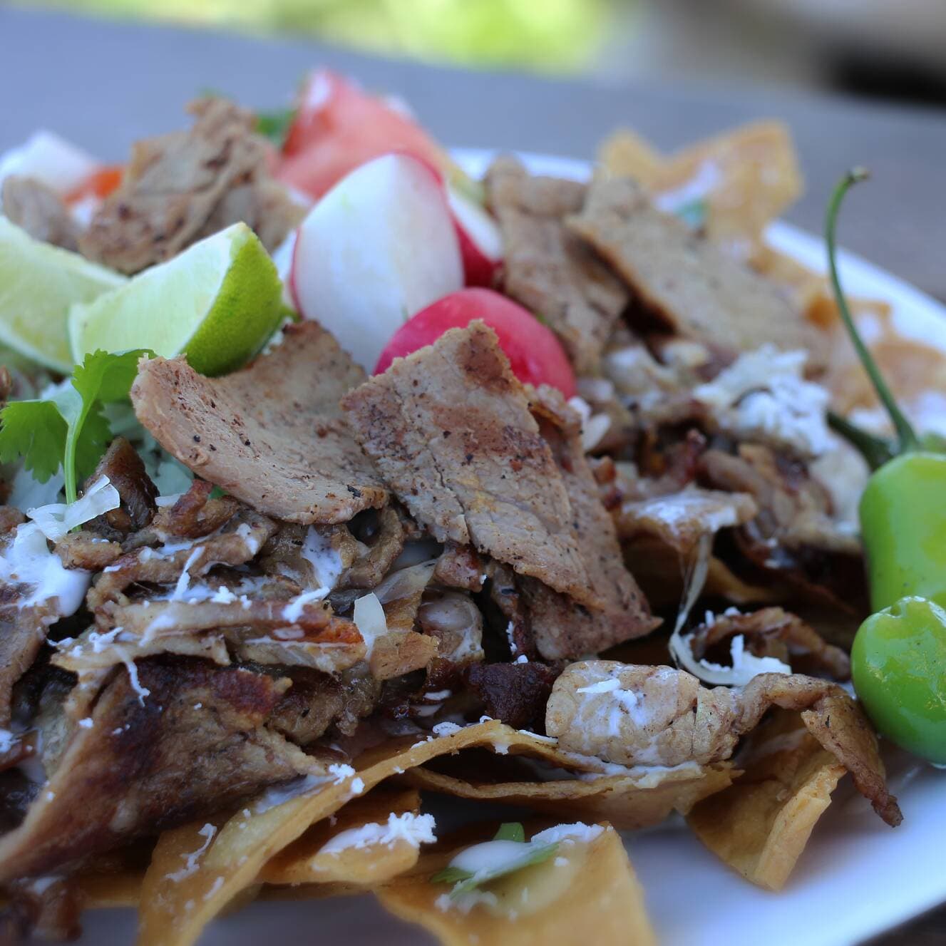 Carne Asada Nachos