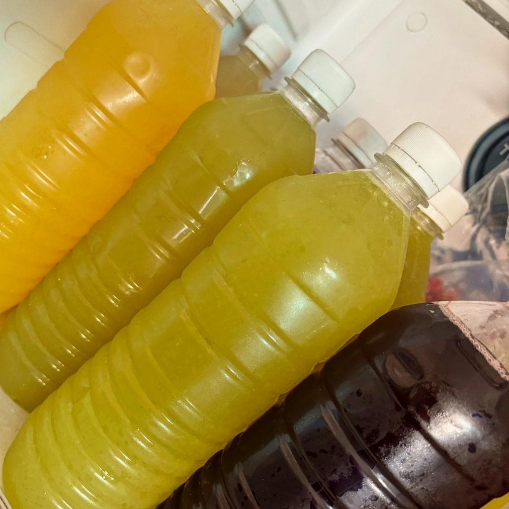 Agua de Jamaica