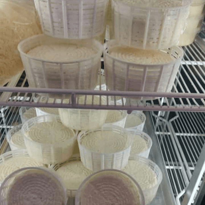 Panela