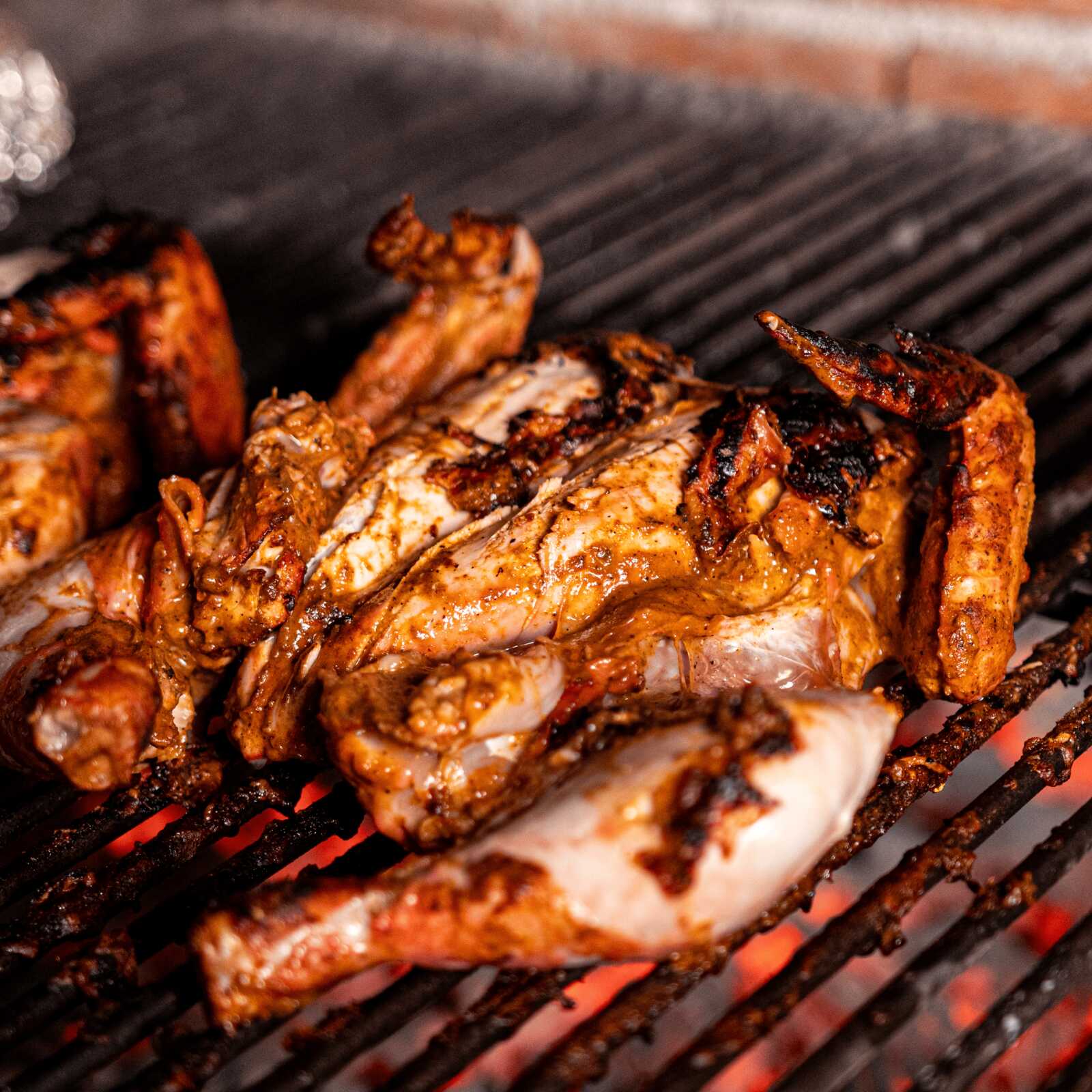 Pollo Farol