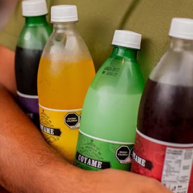 Refresco "Coyame"  600 ml