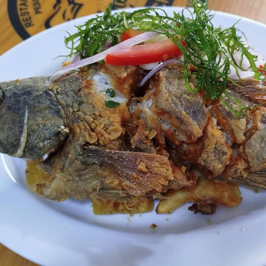Jalea Norteña Cabrilla con Cevichito + CONCORDIA