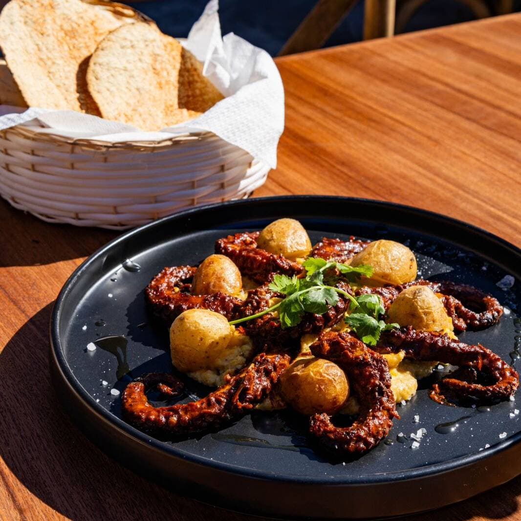 pulpo fuego y mar
