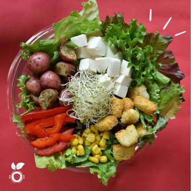 Ensalada Saludable Combo Agua