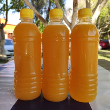 Agua de Mango