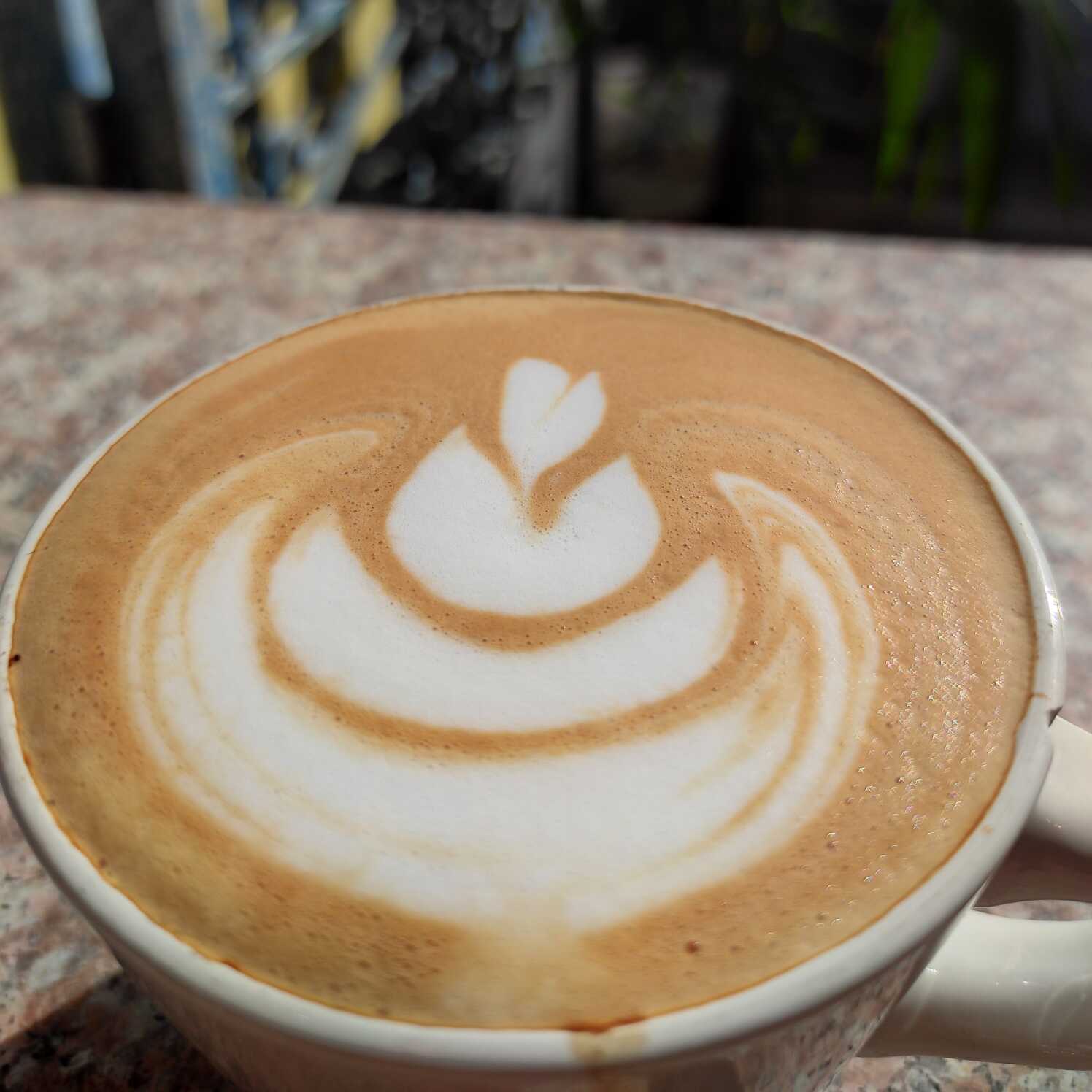 Capuccino