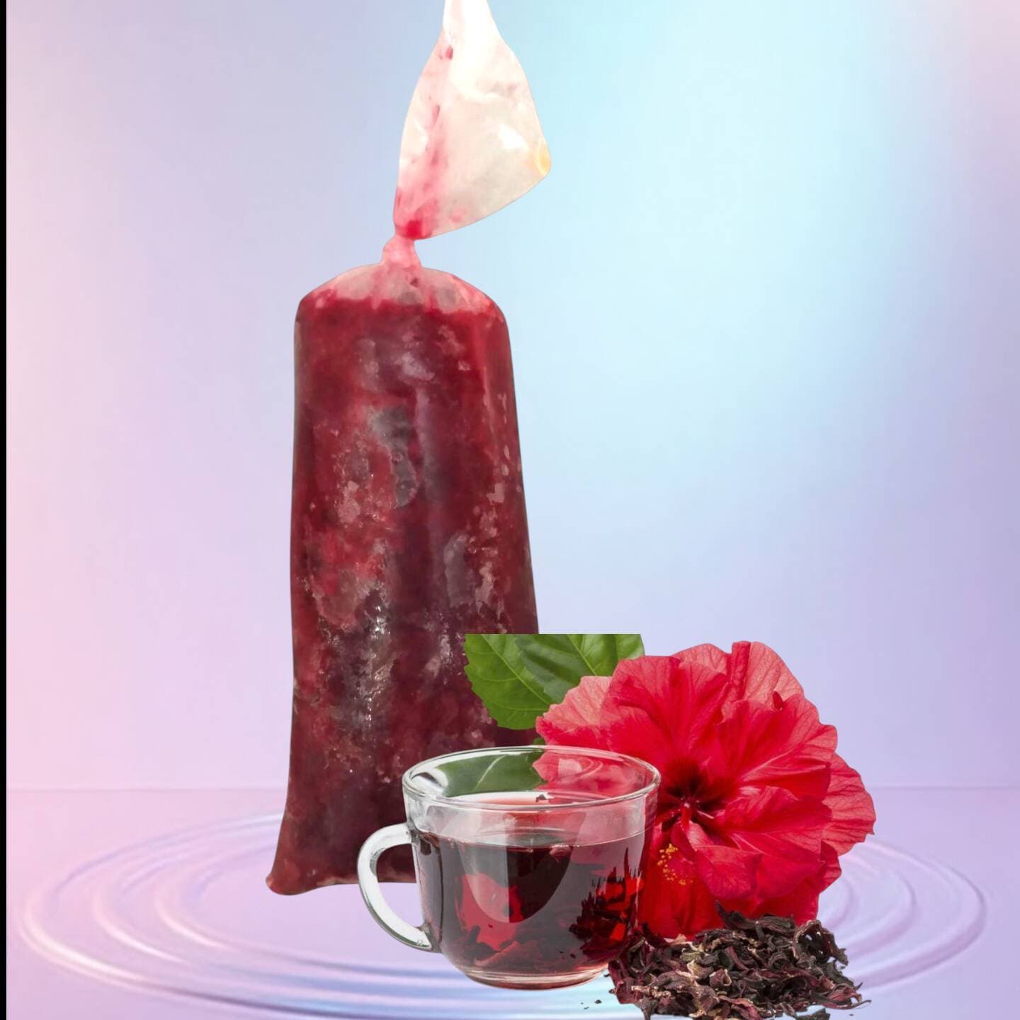 HELADO DE JAMAICA CON CHAMOY
