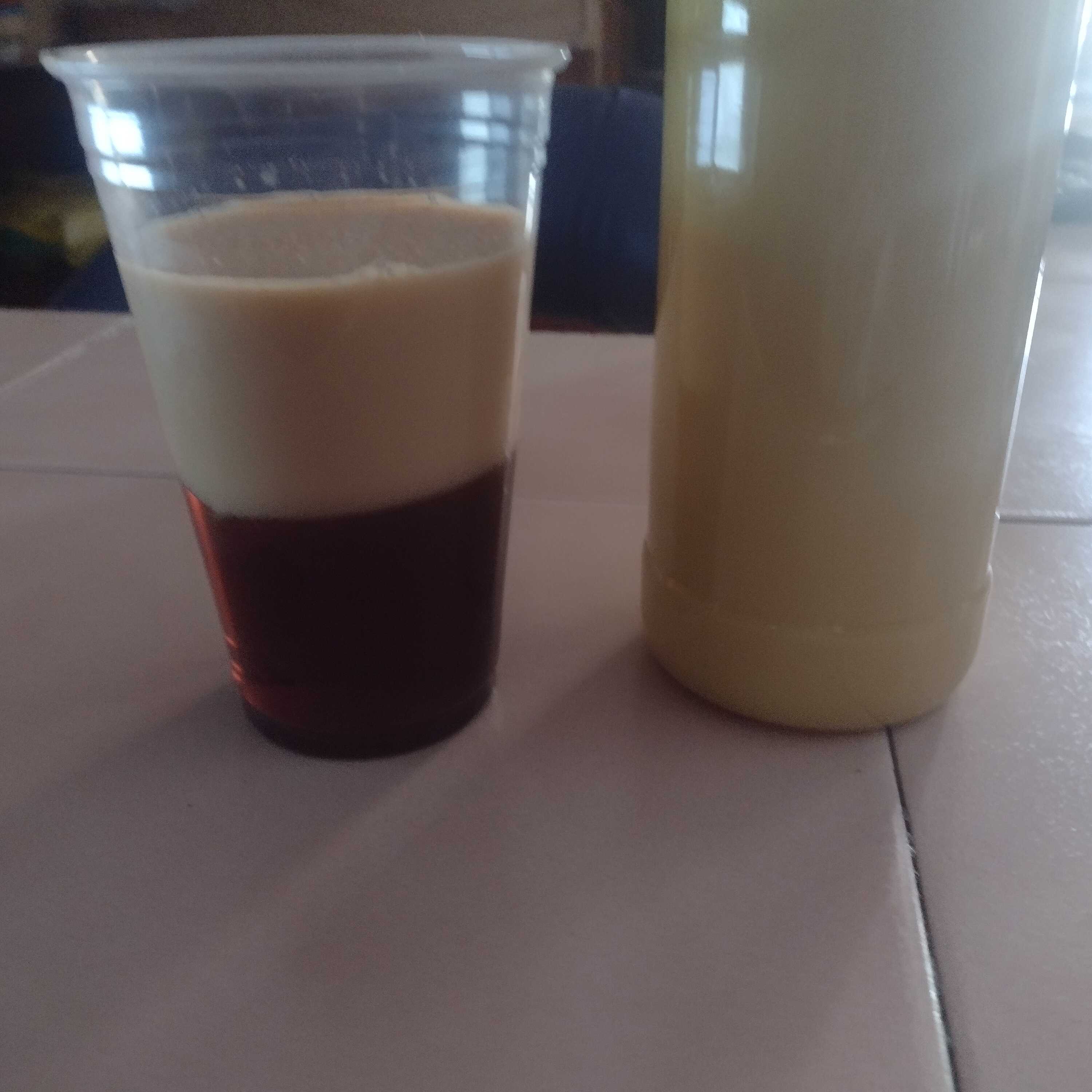 Gelatina con Rompope