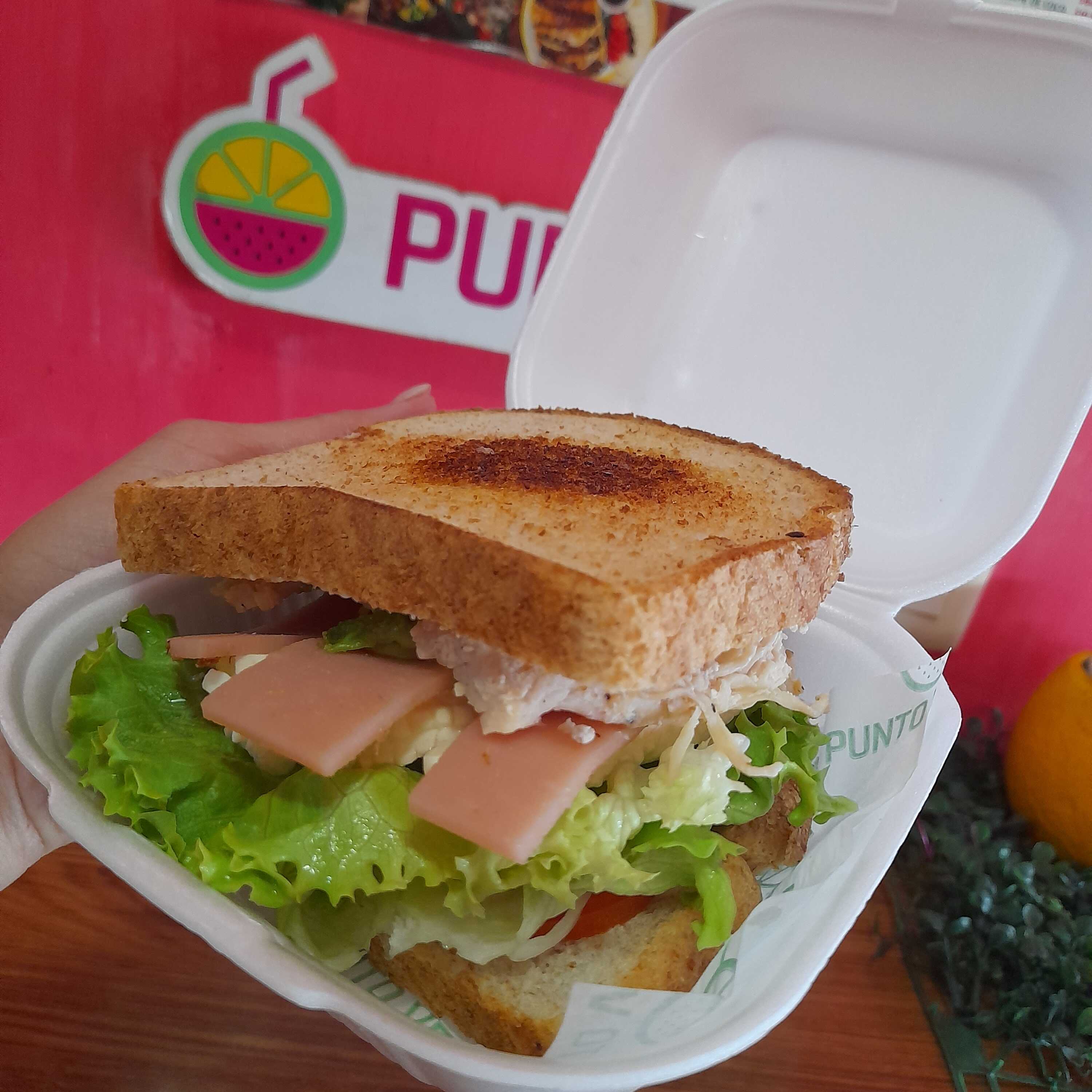 Sandwich Especial
