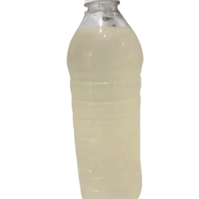 Huapilla