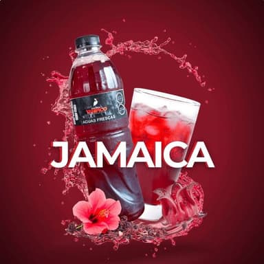 Agua De Jamaica 500 ml