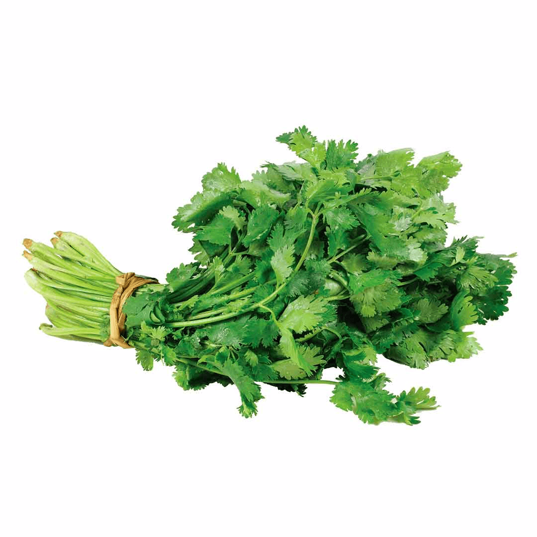 Cilantro Rollo