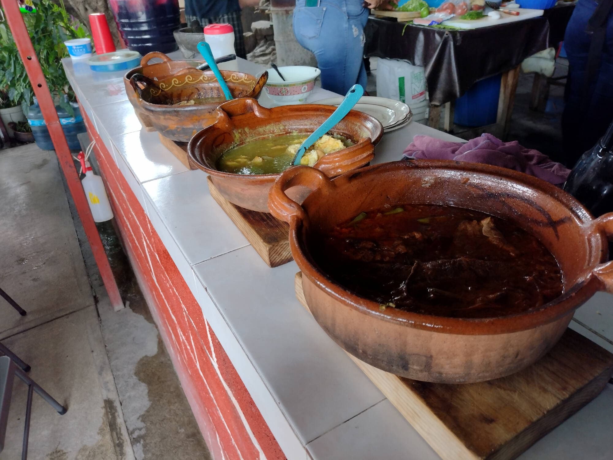 El buen comer "El árbol"