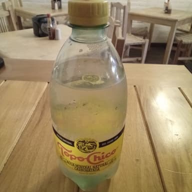Topo Chico (Mineral) (355ml)
