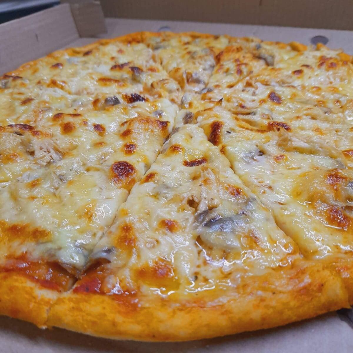 !!SUPER PROMO¡¡ Pizza 8 porciones Jamon y Queso