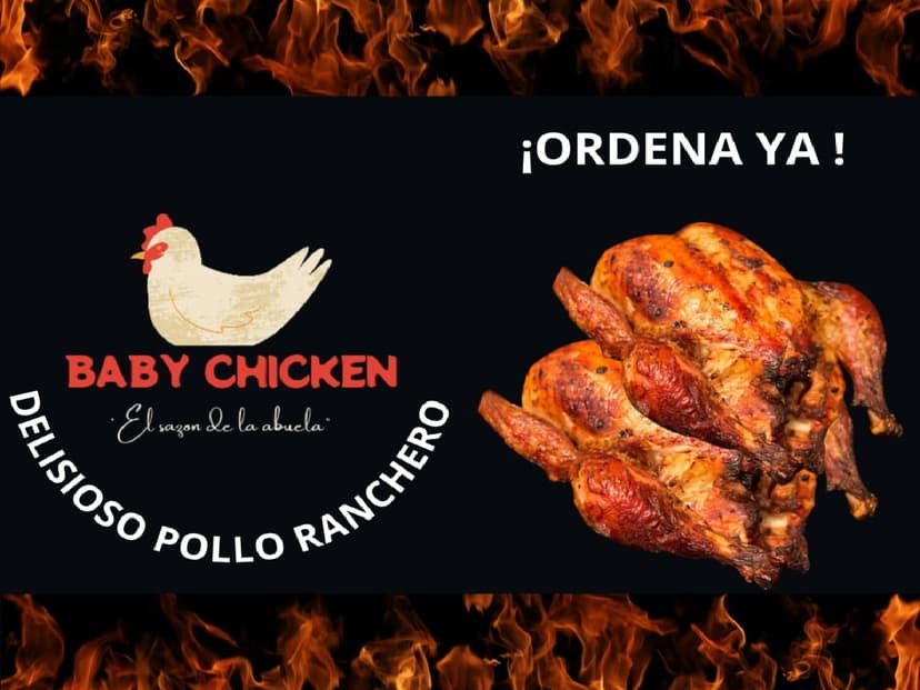 Baby Chicken