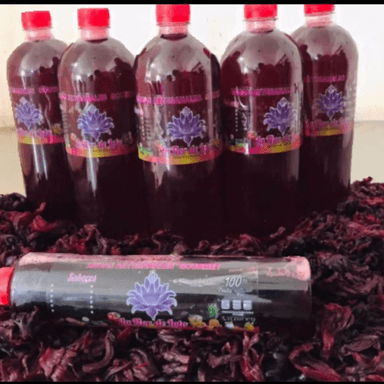 Agua de Jamaica 500ml