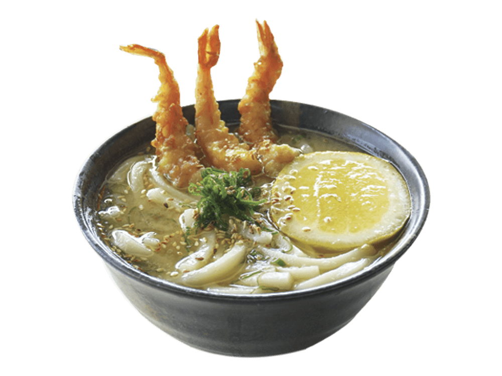 Sopa Udon