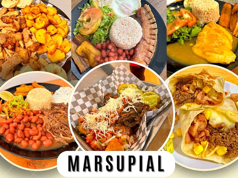 Marsupial