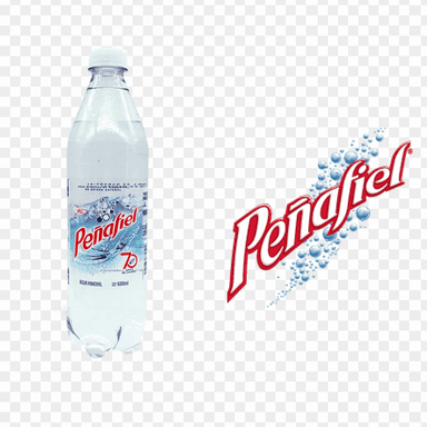 Peñafiel Agua Mineral o Topochico 600ml