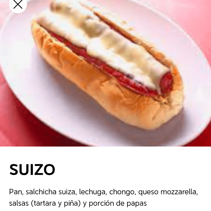 PERRO SUIZO