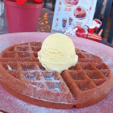 WAFFLE RED-VELVET