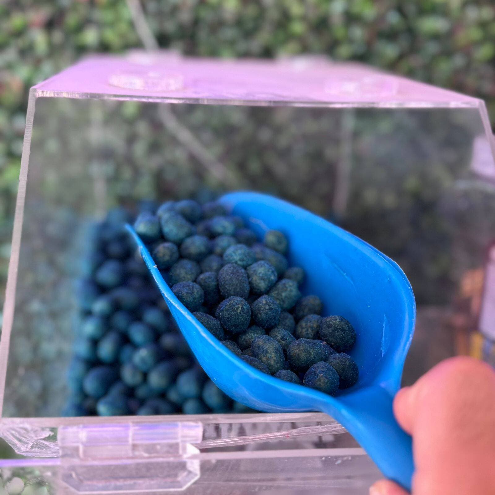 CACAHUATE SABOR TAXIS AZUL