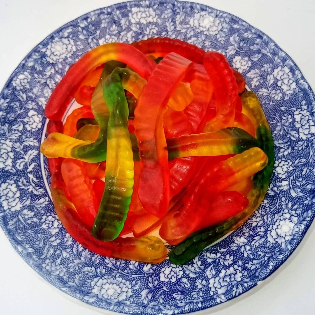 Gomita Lombriz 100 Gr
