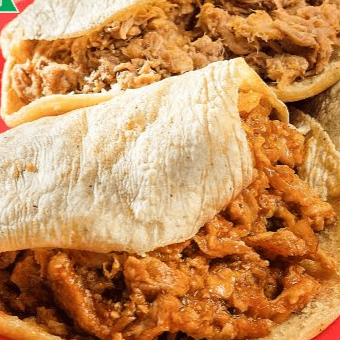 Gordita de yesca