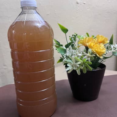 Agua de Tamarindo 1 Lt