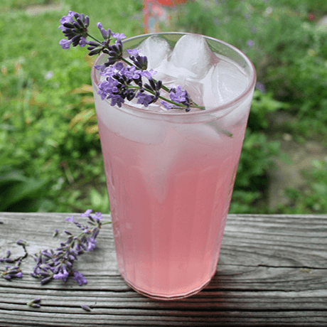 Limonada de Lavanda (16 oz)