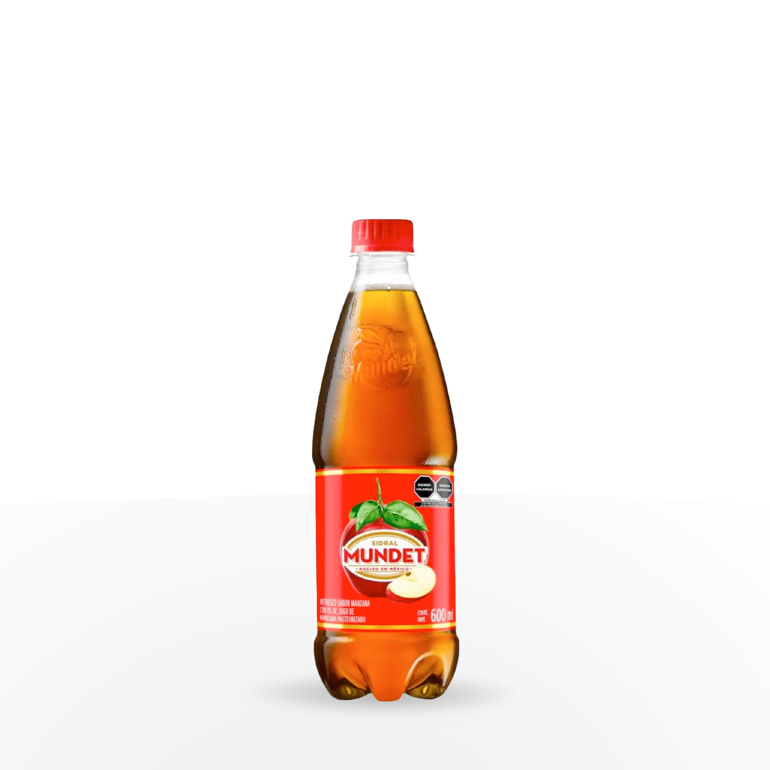 SIDRAL MUNDET 600 ML BOTELLA NR