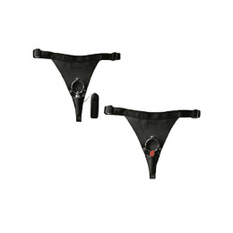 Arnes Bala Black