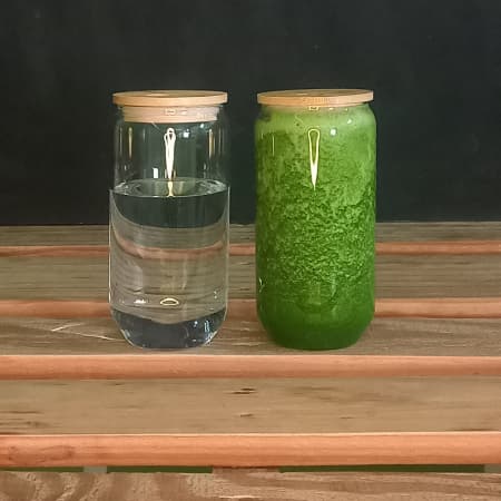 Jugo Verde Agua de Medio Litro