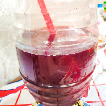 Agua de Jamaica 1 L