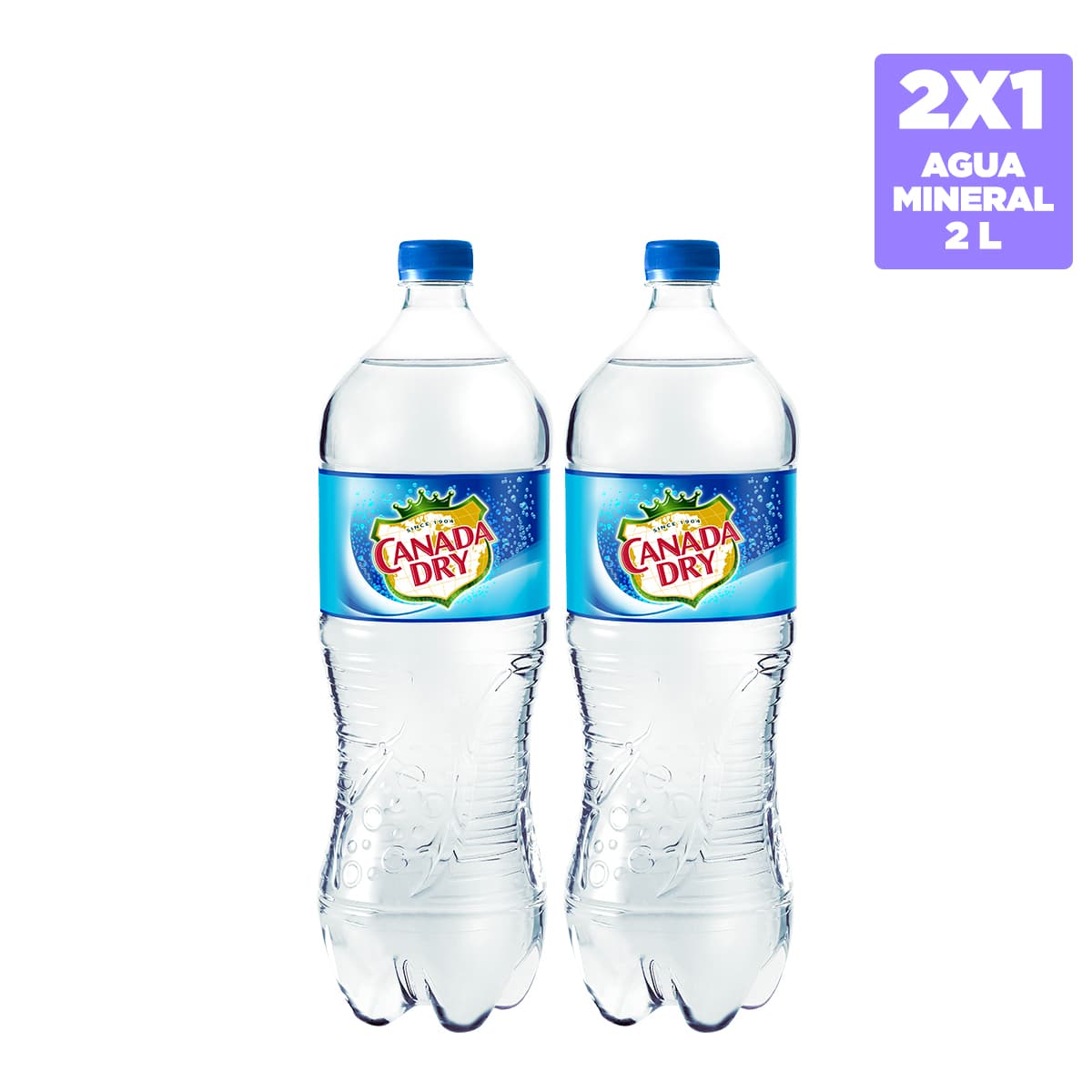 2x1 Canada Dry Agua Mineralizada 2 L