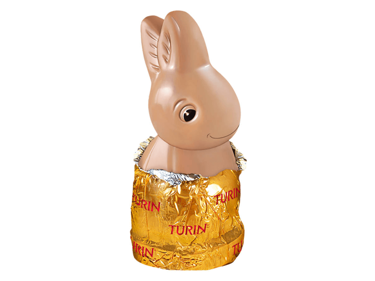 Conejito Turín