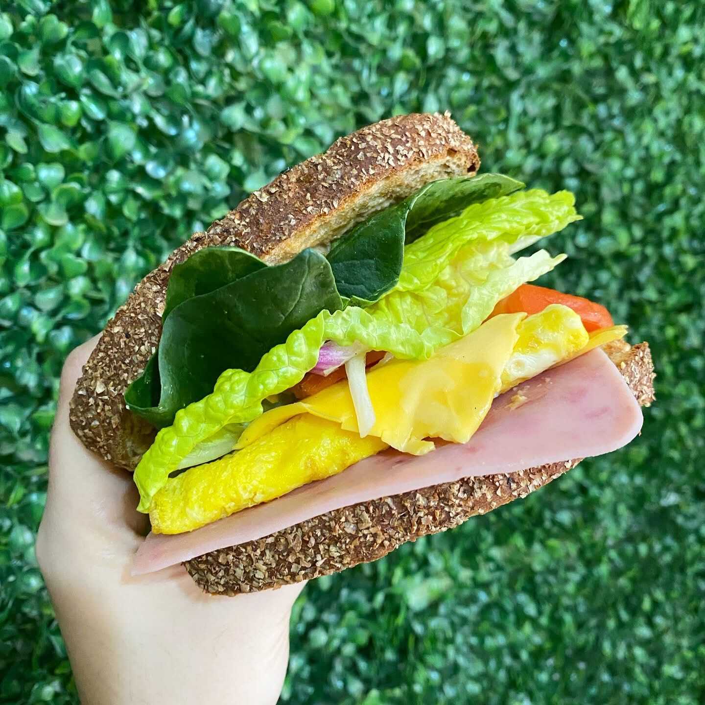 Sándwich Especial