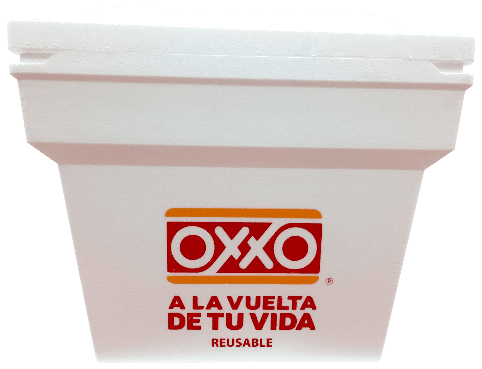 HIELERA IMPRESA OXXO FANOSA 1 PZ BOLSA 21 LT