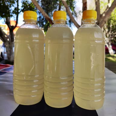 Limonada