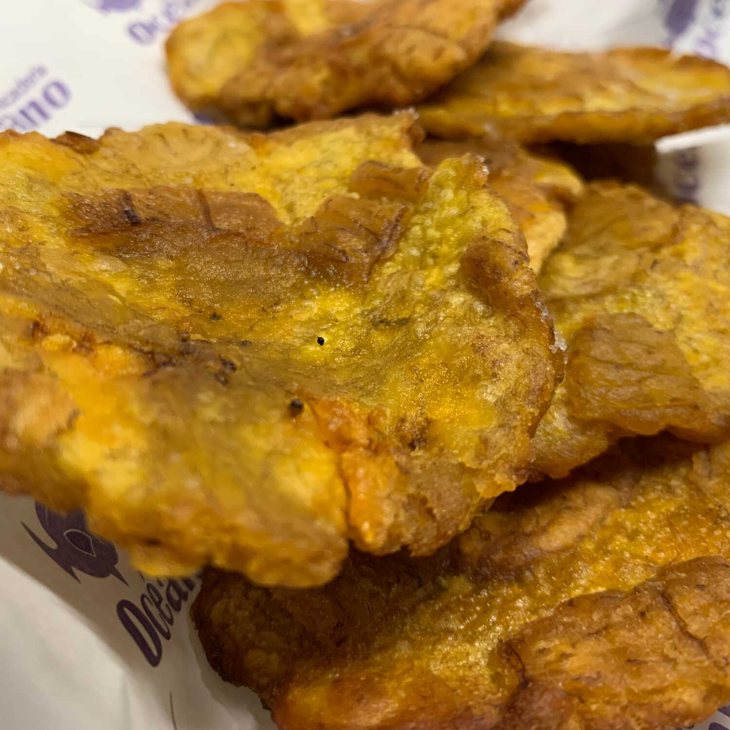Patacones con Frijoles y Guacamole