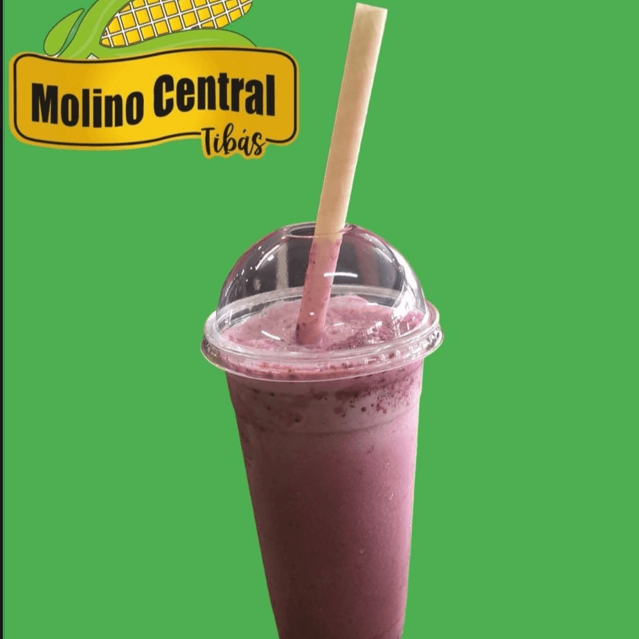 Batidos en Leche