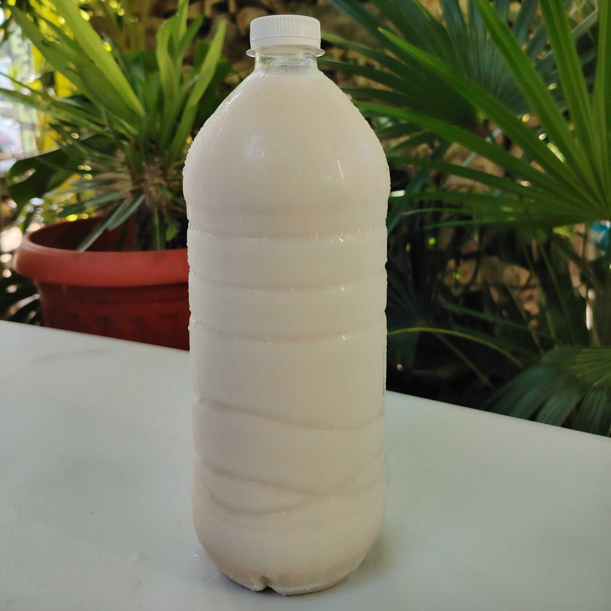 Horchata 1 Litro