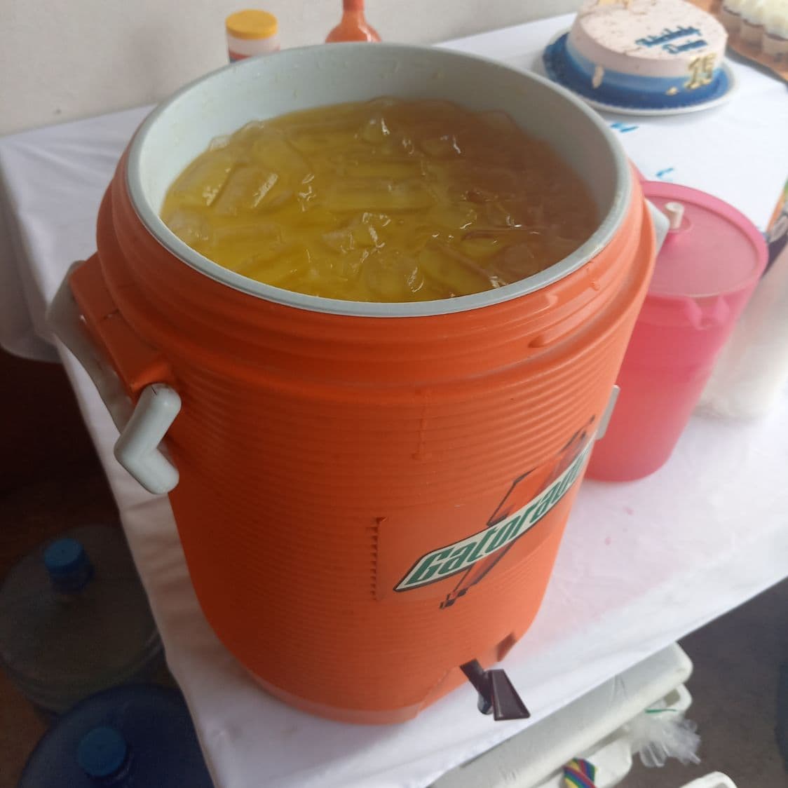 Agua del Día (cada Día Diferente Sabor)