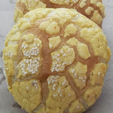 Concha Amarilla