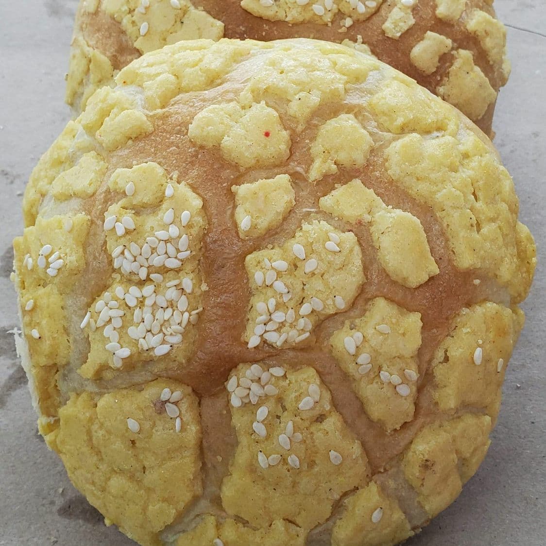Concha Amarilla