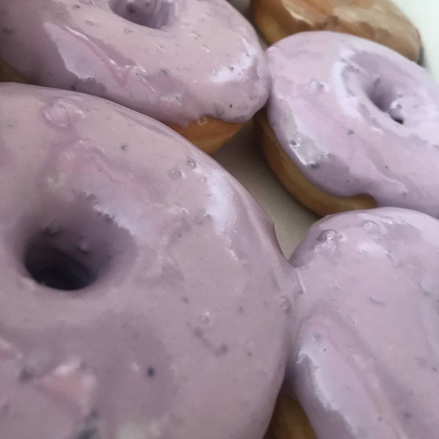 Blueberry