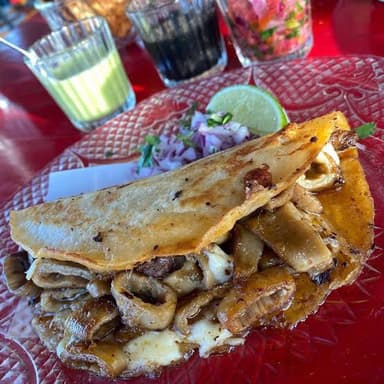 Gringa de Tripa