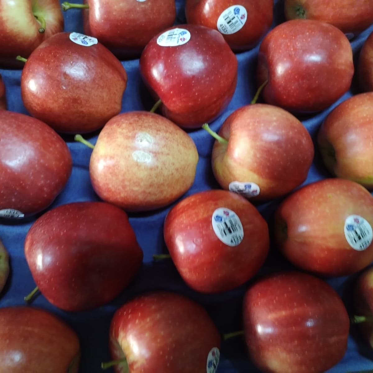 MANZANA GALA IMPORTADA 450 G